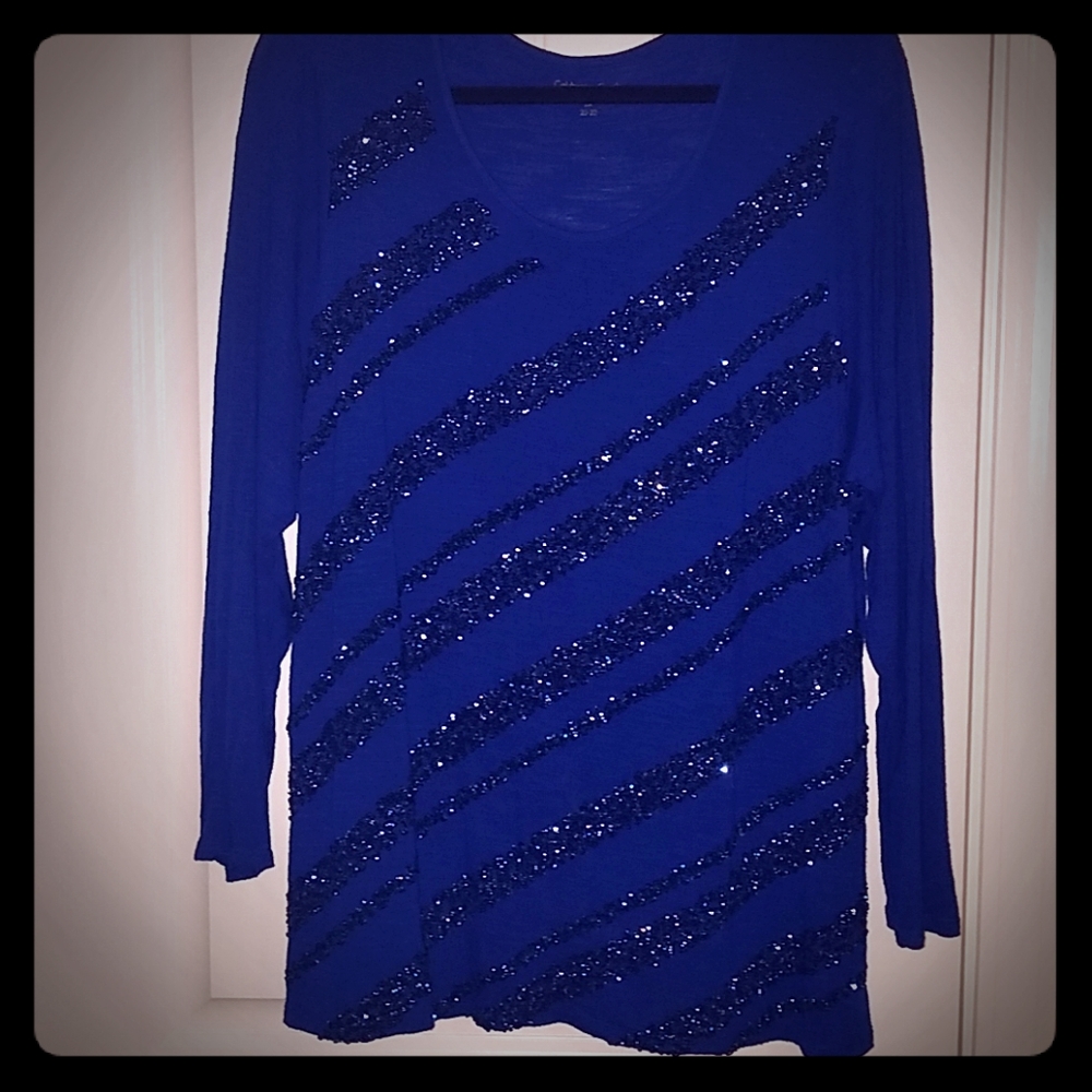 Blue Coldwater Creek t-shirt tunic with sequins 2x